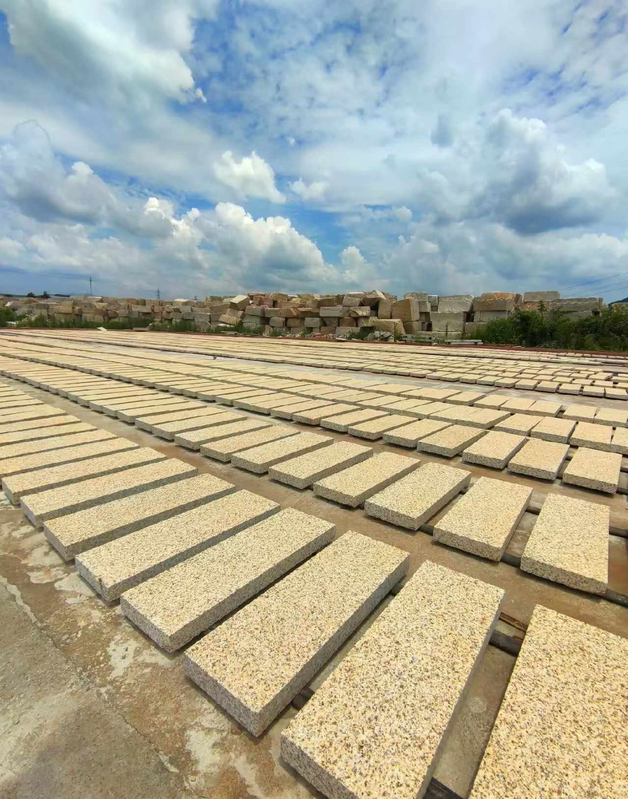 延安 黄金麻荔枝面花岗岩石材地铺石防护中